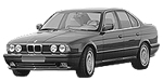 BMW E34 P0492 Fault Code